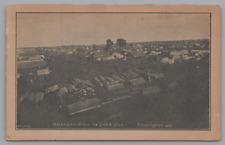 Oklahoma City 14 Days Old, Bird's Eye View, G.B. Hale Vintage Postcard c 1915 picture