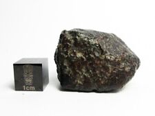 NWA 869 Meteorite 29.80g Flight Oriented, Dome Shaped Stone picture