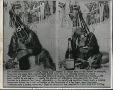 1953 Media Photo Chicago Ling-Wong Monkey Orangutan New Year picture