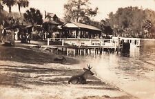 Real Photo Postcard Sliver Springs, Florida Deer Pier PM 1938     A4 picture
