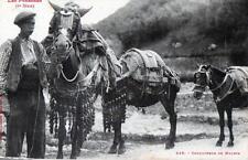 CPA 65 LES PYRENEES MULE CONDUCTORS (CLOSE-UP BEAUTIFUL CPA picture