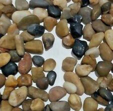 Holy Land RARE Stones sea of galilee jesus christ miracles bible lake 85 gr picture