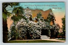 Rose Covered Residence In Southern California In Winter Vintage Postcard picture