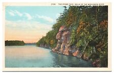 Vintage Dells of the Wisconsin River Postcard The Stone Face Unposted picture