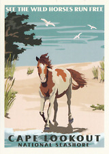 Cape Lookout National Seashore Harkers Island North Carolina Poster Art Postcard picture