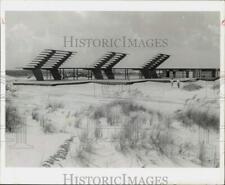 1956 Press Photo Sunshades on Coquina Beach on Bodie Island, North Carolina picture