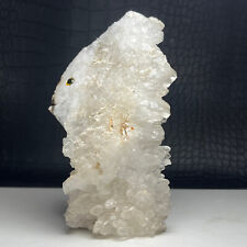 592g Natural Crystal Cluster,Specimen Stone,Hand-Carved, Exquisite FISH.Gift.RY picture