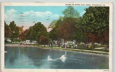 Scene in Gypsy Hill Park Staunton Virginia Swan Pond Garden VTG VA Postcard picture