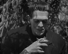 Bride of Frankenstein Boris Karloff 8 x 10 Photograph Art Print Photo Picture picture