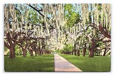 De La Ronde Oaks Versailles Plantation New Orleans LA. Louisiana Postcard picture