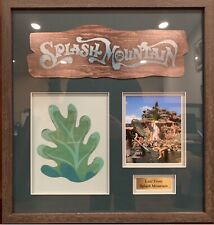 Disneyland Rare Original Park Used Splash Mountain Leaf Framed picture