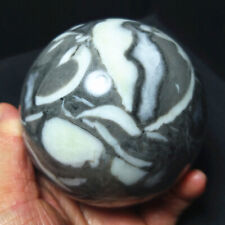 RARE712G78MM Natural Polished Shell Agate Crystal Ball Healing Madagascar A1985 picture