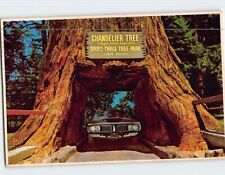 Postcard Chandelier Drive Thru Tree Leggett California USA picture