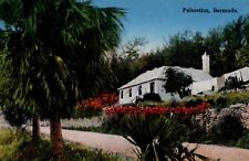 Tucker's Town Hillside Scene With Palmettos Bermuda Vtg Postcard CP329 picture