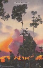 Florida Silhouette Palm Tree Sunset FL 1940 Punta Gorda Postcard D52 picture