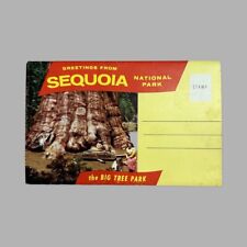 Vintage Postcard Souvenir Folder- Sequoia National Park picture