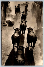 RPPC Pamplona Spain Running of the Bulls picture