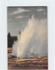 Postcard Daisy Geyser Yellowstone National Park Wyoming USA picture