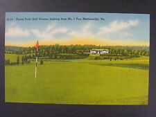 Martinsville Virginia VA Forest Park Golf Course Linen Postcard c1930-50 Vintage picture