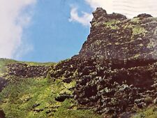 C 1981 Crouching Lion Volcanic Rock Formation Windward Oahu Hawaii Postcard  picture
