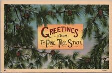 Vintage 1940s MAINE Postcard 
