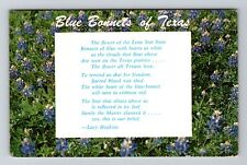 TX-Texas, State Flower Blue Bonnets, c1973 Vintage Postcard picture