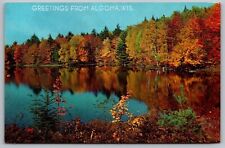 Greetings Algoma Wisconsin Fall Autumn North Country Reflections Forest Postcard picture