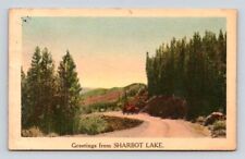 Sharbot Lake Ontario Greetings From Postcard picture