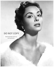 ACTRESS DANA WYNTER - 8X10 PUBLICITY PHOTO (AB885) picture