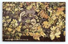 Gypsum Flowers In Mammoth Cave Kentucky KY Vintage Postcard picture