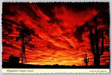 Arizona - Magnificent Arizona View at Sunset - Vintage Postcard 4x6 picture