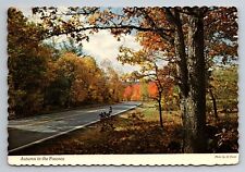 Autumn's Flaming Foliage In Pennsylvania's Pocono Mountains Unposted Postcard picture