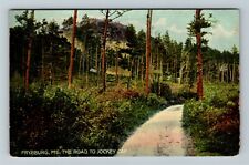 Fryeburg ME-Maine, Scenic Road to Jockey Cap Vintage Souvenir Postcard picture