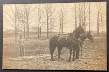 Man Team of Horses working a field (harrow?) Wisconsin RPPC 1907 Sharon(?) picture