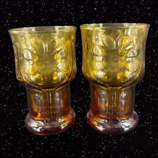 Vintage Libbey Amber Country Garden Daisy Flower Water Tea Glasses Tumbler Set 2 picture
