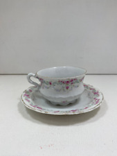 Antique C.T. Germany Altwasser Porcelain Tea Cup & Saucer Set picture