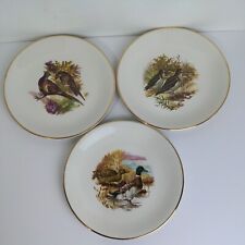 Lot of 6 Royal Falcon Ware Weatherby Hanley England Plates picture