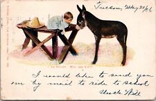 1906 Baby Child Donkey I Am Stuart Who Are You Undivided Back Postcard M. Rieder picture