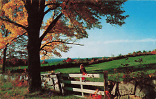 Raymond NH New Hampshire, Country, Girl on Fence, Bicentennial, Vintage Postcard picture