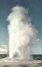 Vtg Postcard (Haynes) Old Faithful Geyser Yellowstone Natl Park WY Unposted picture