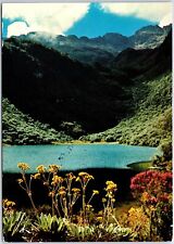 VINTAGE CONTINENTAL SIZED POSTCARD THE BLACK LAKE IN VENEZUELAN ANDES STAMPS '75 picture