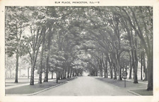Princeton IL Illinois, Elm Place, Tree Covered Lane, Vintage Postcard picture