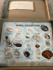 Vintage shell Collection  picture