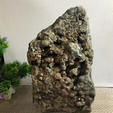 Best natural marine jasper agate quartz crystal sample rough 6200g picture