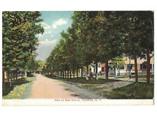 c1908 View East Avenue Caledonia NY New York Street Quality Drug Store Postcard  picture