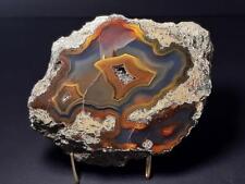 EXCEPTIONAL AGATE CONDOR SPECIMEN FROM ARGENTINA 621 Grams – 1.37 Pounds (C-459) picture