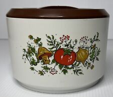 Vintage 1970’s Sterilite Spice Of Life Canister Food Container No. 840 picture