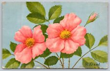 Vintage Postcard- WILD ROSE picture
