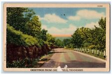 Greenfield Tennessee Postcard Greetings Road Trees Exterior 1953 Vintage Antique picture