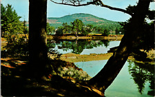 Landscape Near Golf Course At Blue Hill, Maine, Vintage Postcard picture